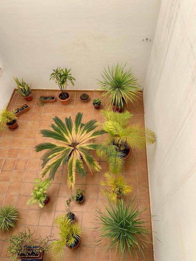 Apartamento En El Centro, Tranquilo Y Luminoso Málaga Exterior foto